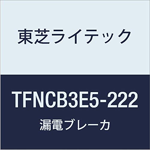 Toshiba Lighting & Technology TFNCB3E5-222 Small Housing Distribution Board N Series 50A 22-2 with Door, Basic Type