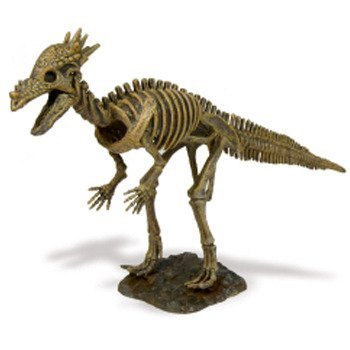 Dinosaur skeleton excavation kit specimen Institute formic Moloch (japan import) by Geoworld
