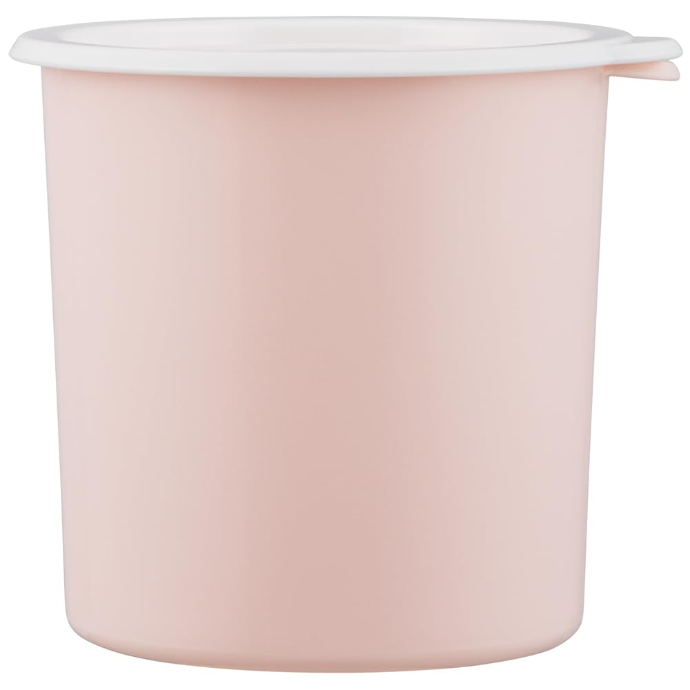 Skater SOT10-A One-Touch Seal Container, Large, 33.8 fl oz (1,000 ml), Airtight Container, Storage Container, Dull Pink