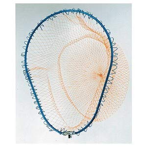 DAITOU Fine Frame, M, Blue