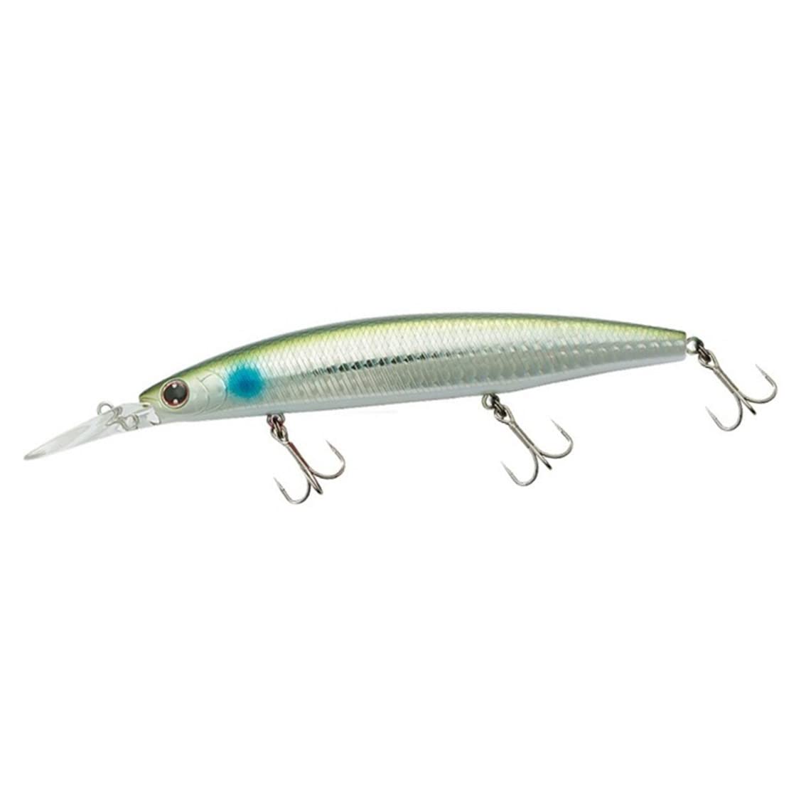 DAIWA Shoreline Shiner Z Set Upper 97S-DR 3D Inako Lure