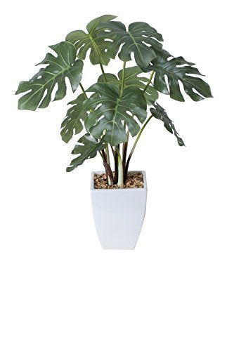 Photocatalyst Artificial Plants Light of Paradise monsuterapotto 433 a60