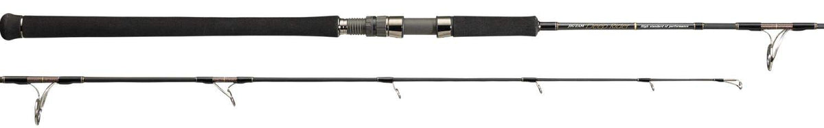 Tenryu (TENRYU) Jiguzamu deep Rider JDR631S-3K 6'3 "