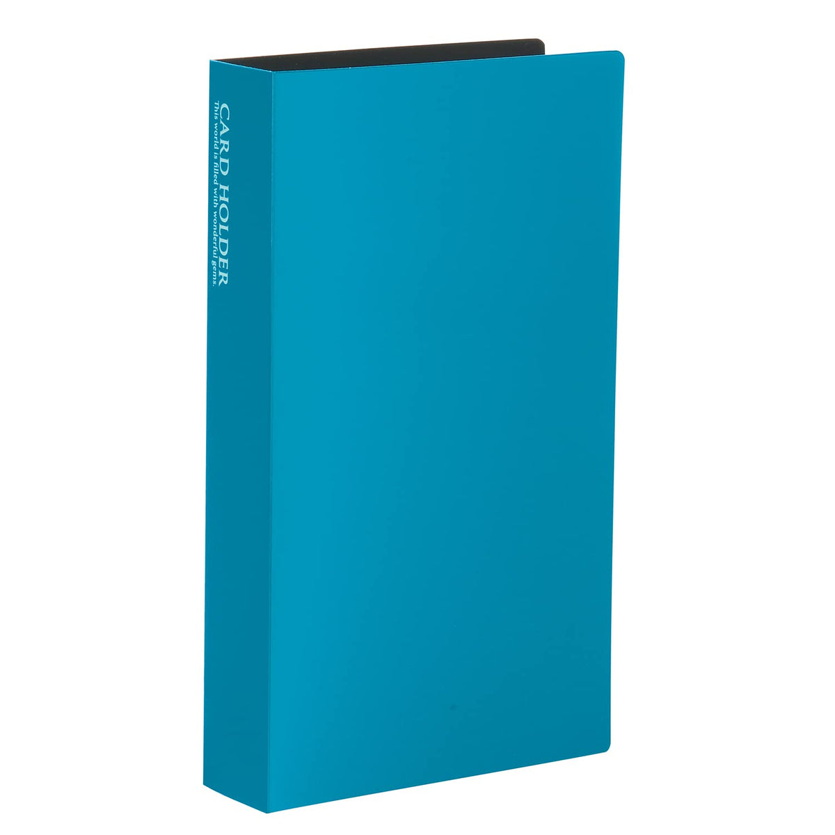 Sekisei KP-240CKP-240C-60 Album Pocket Card Holder, 240 Business Card Size, 201-300 Cards