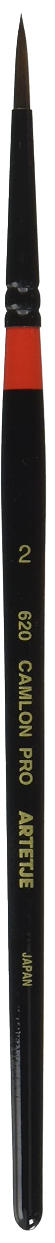 arute-zyu kyamuronpuro 620 2 # # # # 164402