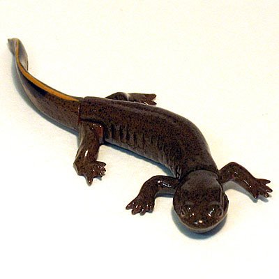 Candy chocolate Q Japan animal 6th 162 Kasumi salamander