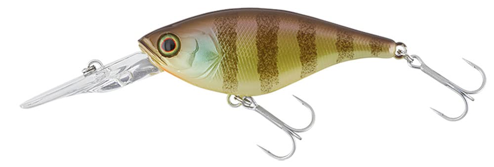 JACKALL Soul Flat 58SF SK Noike Gill