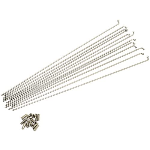 GRK #12 Stainless Steel Spokes (12 Pieces) with Brass Nipple (#12 x 292 mm)