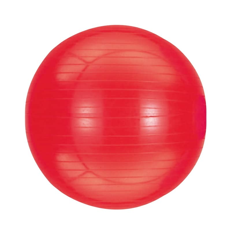 Evernew ETB625 Gym Ball 75