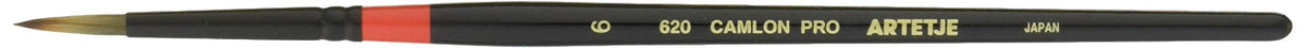 arute-zyu kyamuronpuro 620 6 # # # # 164406