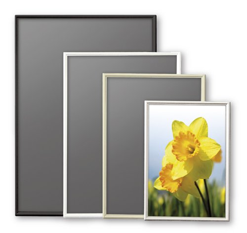 Arte SH-P2-WH Poster Frame, Shape, 24.4 x 36.6 inches (620 x 930 cm), White