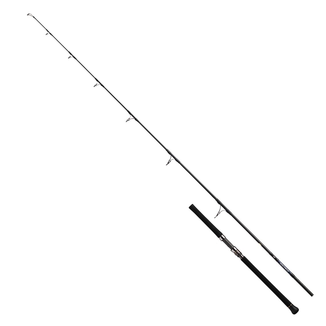 DAIWA 21 SALTIGA CASTING 85-8