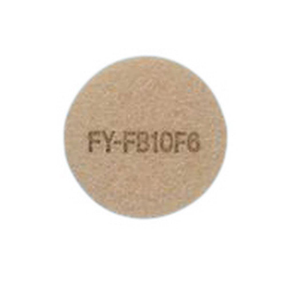 Panasonic Panasonic Replacement Input You Purifier Filter [FY – fb10 °F6]