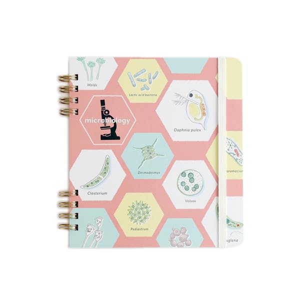 Green Flash STUDY HOLIC ST-270 Ring Notebook, Square, Microbiology