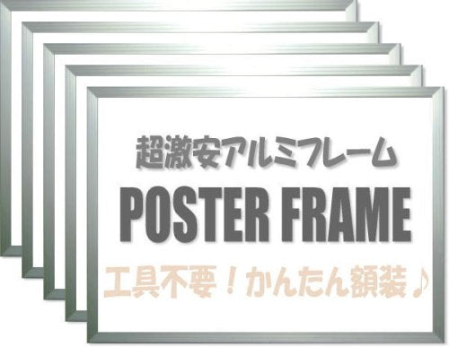 Large Value Karu! Frame A1 Silver