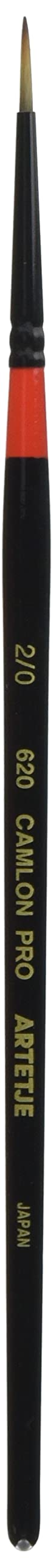 arute-zyu kyamuronpuro 620 2/0 # # # # 164420