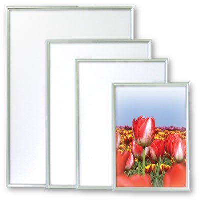 Arte half-size one-touch silver ON-G21-SV (japan import)