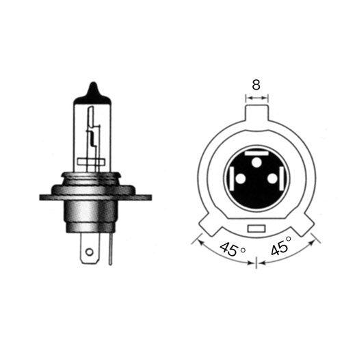 M & H Pine Maxima 12 V60/W Clear Halogen Bulbs H4 16