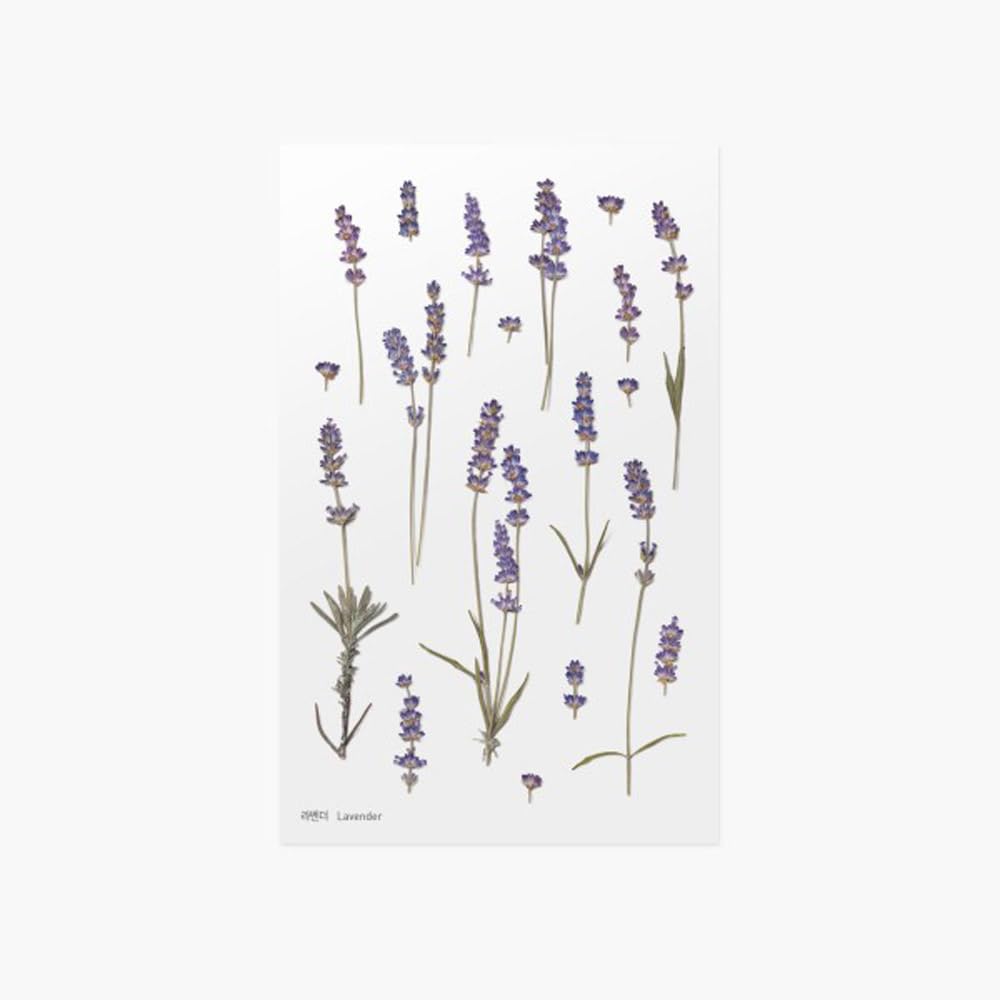 Worldcraft PFS-013 Precious Flower Sticker Lavender