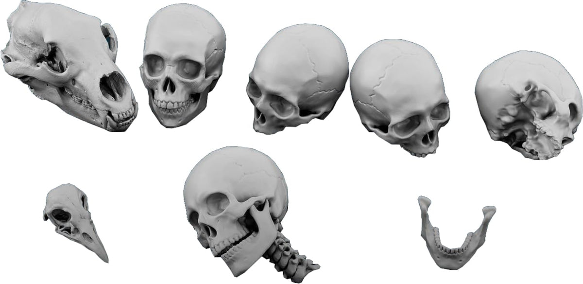 SPU32235 1/35 Skull Set (5 Types, 10 Pieces) 3D Printer Kit