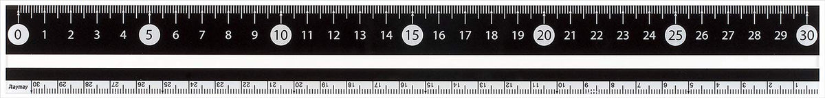 Raymay Fujii APJ281B Ruler, Easy to Read Black and White Ruler, 11.8 inches (30 cm), Black
