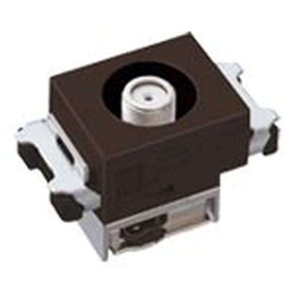 Panasonic High Shield TV Terminal for Embedded Home Chocolate [Manufactured to Order Product] WCS3013A011