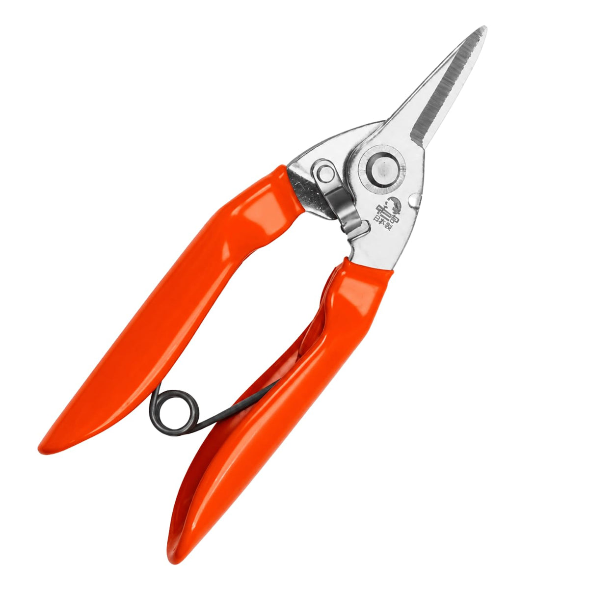 Japanese Fishing Scissors for Braided Line, Rust-Resistant Steel