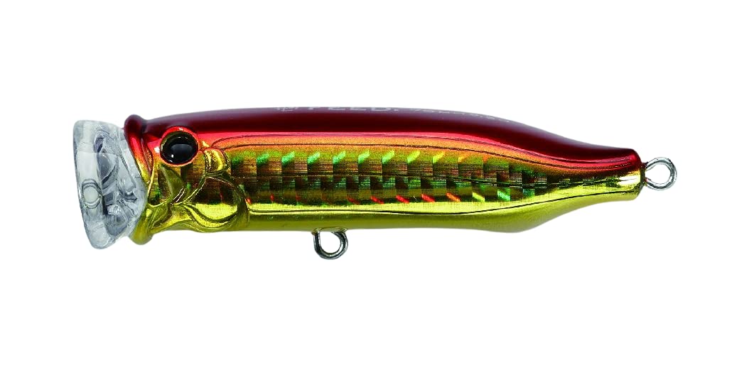TackleHouse Popper Contact Feed Popper 70mm 9.5g SHG Gold/Red #05 CFP70 Lure