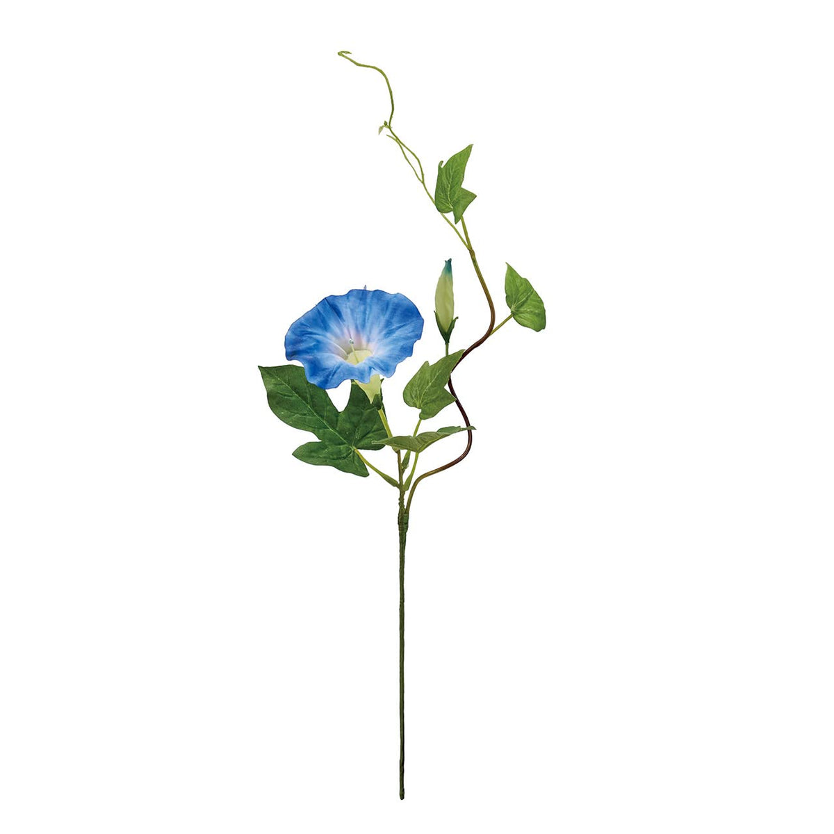 Tokyodo FM000203-105 Artificial Flowers, MAGIQ Edo Morning Glory, Blue, Flower Diameter 2.8 x L 13.8 inches (7 x 35 cm)