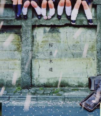 SAKURANAMIKIMICHI