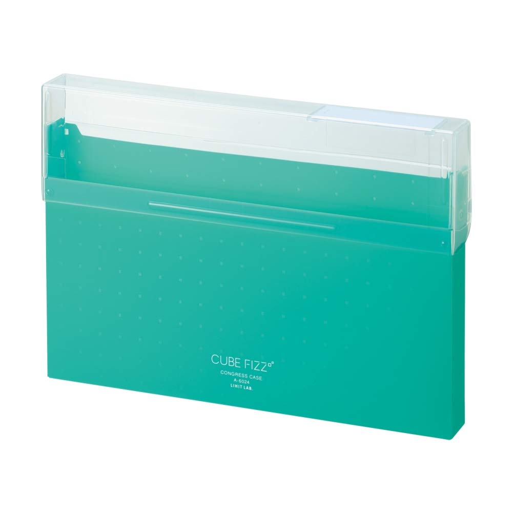 Lihit Lab A6024-7 Document File Case, Congress Case, A4 Cube Fizz Green, Opaque