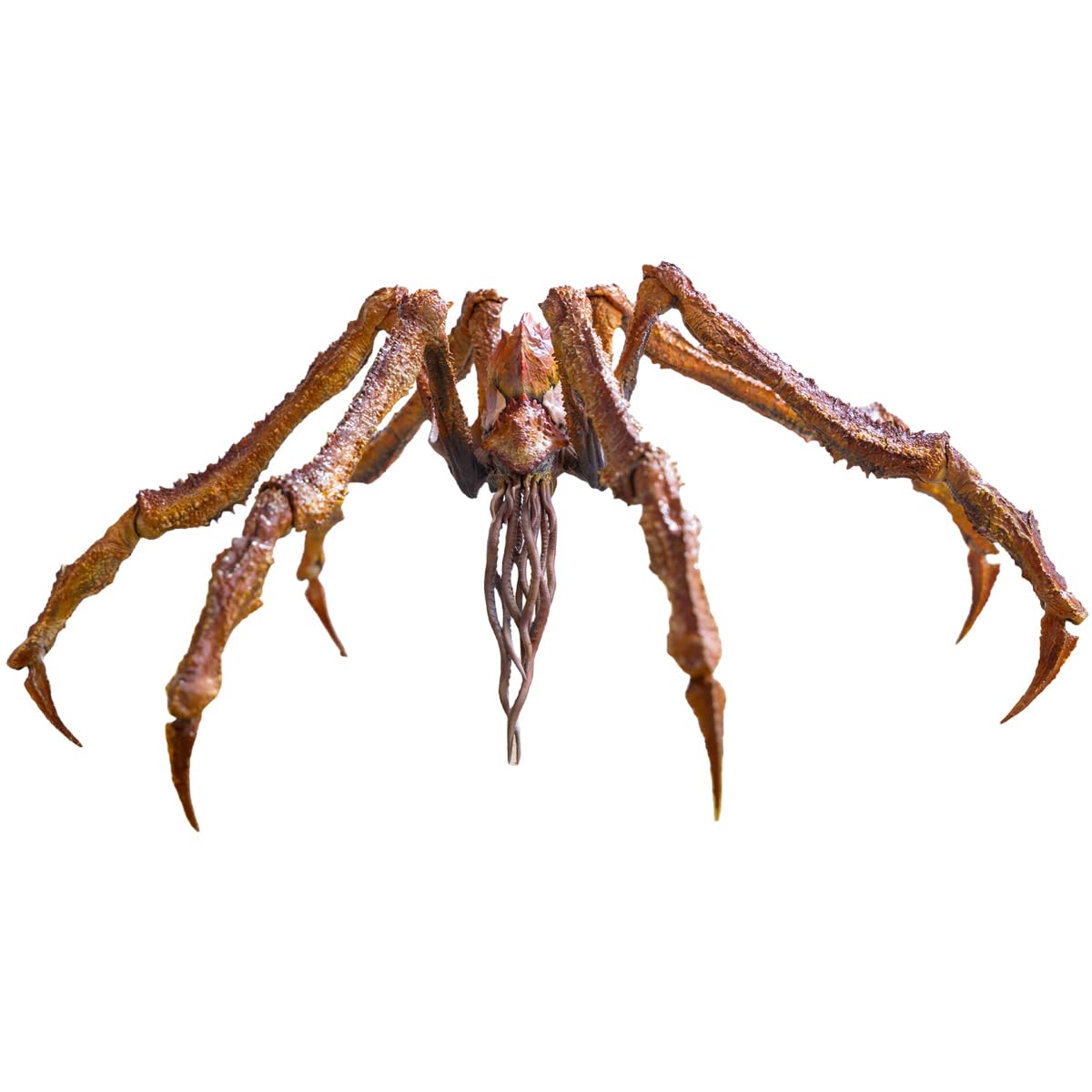 Godzilla x Kong: The New Empire – Scylla Exquisite Basic Series Previews Exclusive Action Figure