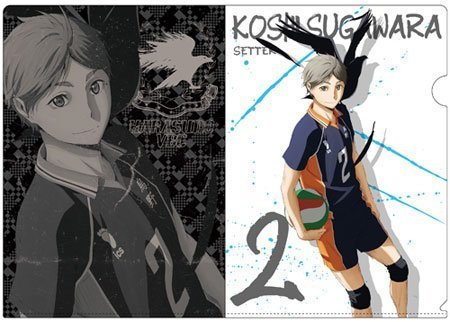 HIQ! Yoshitaka Sugawara bearing clear file