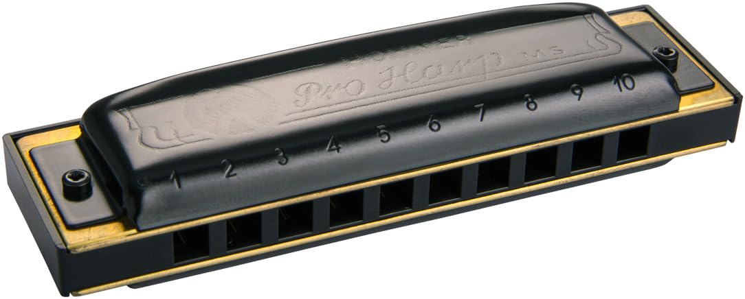 Hohner harmonica, Black (M564056X)