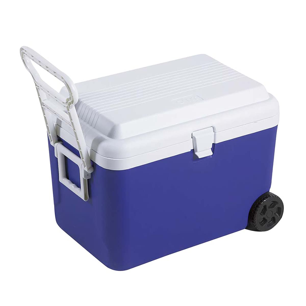 Captain Stagg [Capacity 48L / with tire-Handle] Cooler Box Regard Wheel Cooler 48L Blue M-5059