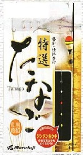 Acheilognathus Marufuji (malfuji) K-007 Special lifting without