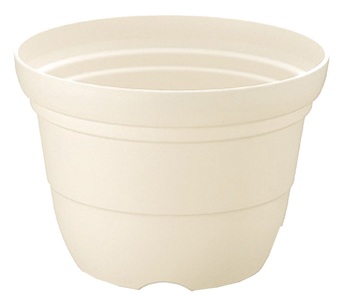 ritchel kara-barie Wheel Vase 6 # # # # White (W)