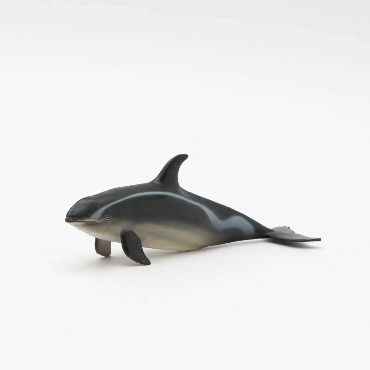 Pacific White Sided Dolphin Marine Life Toy Model