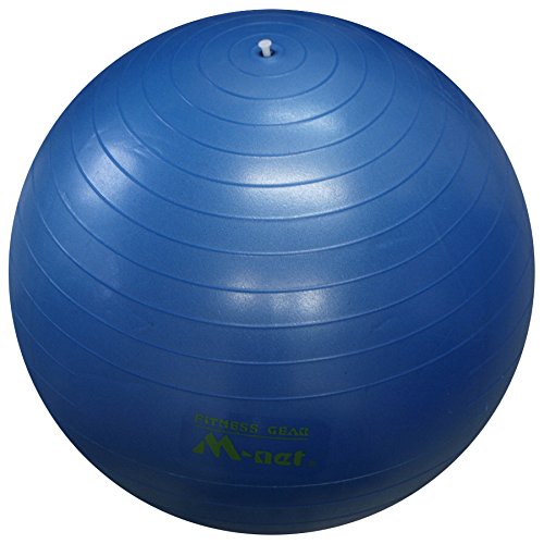 LITEC(ライテック) ストレッチボール　65cm MN121