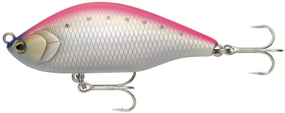North Craft AOG70SLM PIW