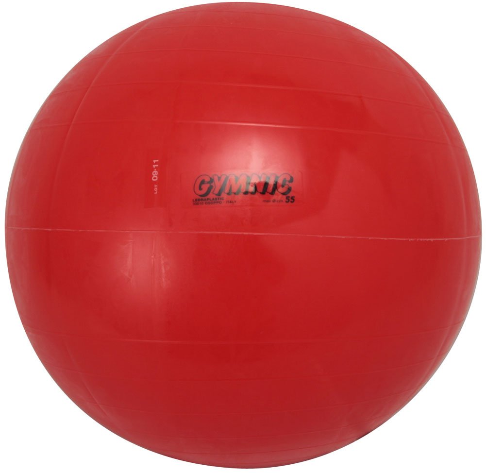 Danno D5431 Gimnik Color Ball, 21.7 inches (55 cm)