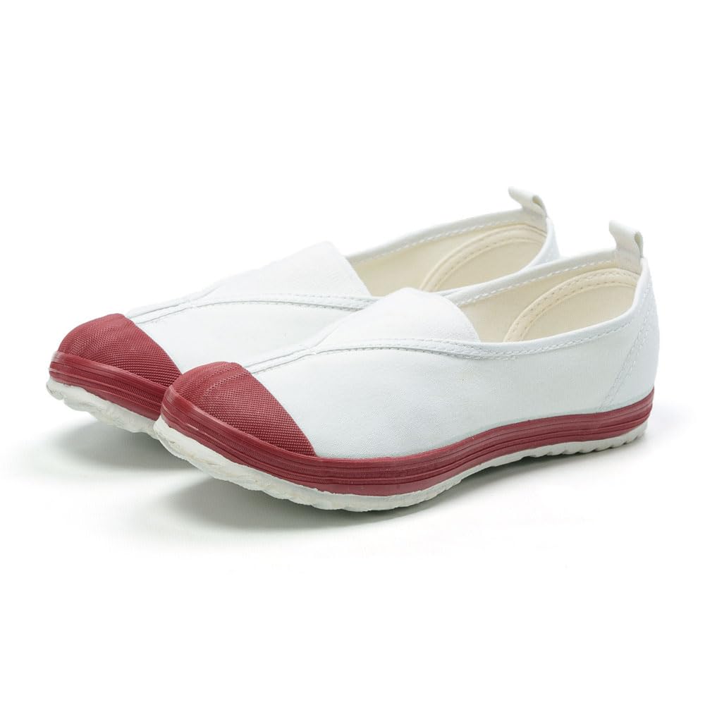 MoonStar(ムーンスター) Unisex Kids High School Type 4 S Indoor Shoes, red, 27.0 cm 2E