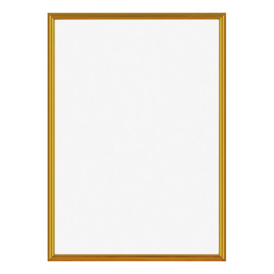 A. P. J. Open Frame 6 X 8 Size (600 X 800 mm) Gold Parent , golden