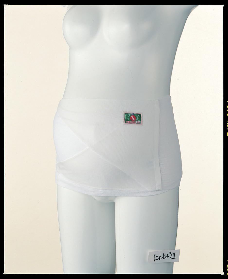FUN fun Women's Inujirushi Honpo Maternity Pregnancy Belt Cloth Free Size White