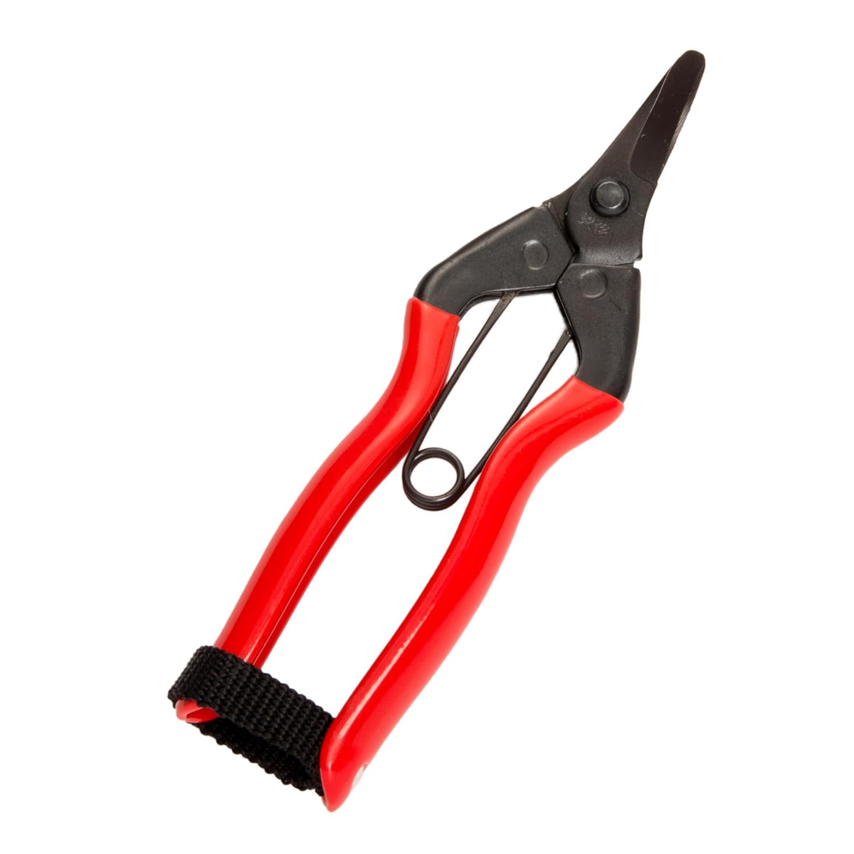 Koshiji Kakishin shears S-16 (japan import)