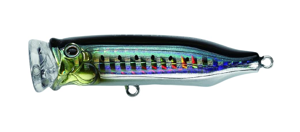 TackleHouse CFP70 Popper, Contact, Feed Popper, 2.8 inches (70 mm), 0.3 oz (9.5 g), SHG Sardine #06