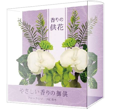 Phalaenopsis Orchid Pair