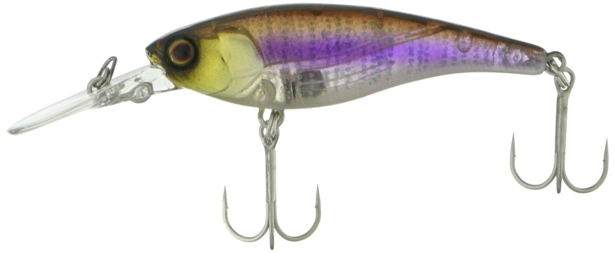 JACKALL Shad Soul Shad SR SP 0.2 oz (5.0 g), 2.3 inches (58 mm), Rain Smelt