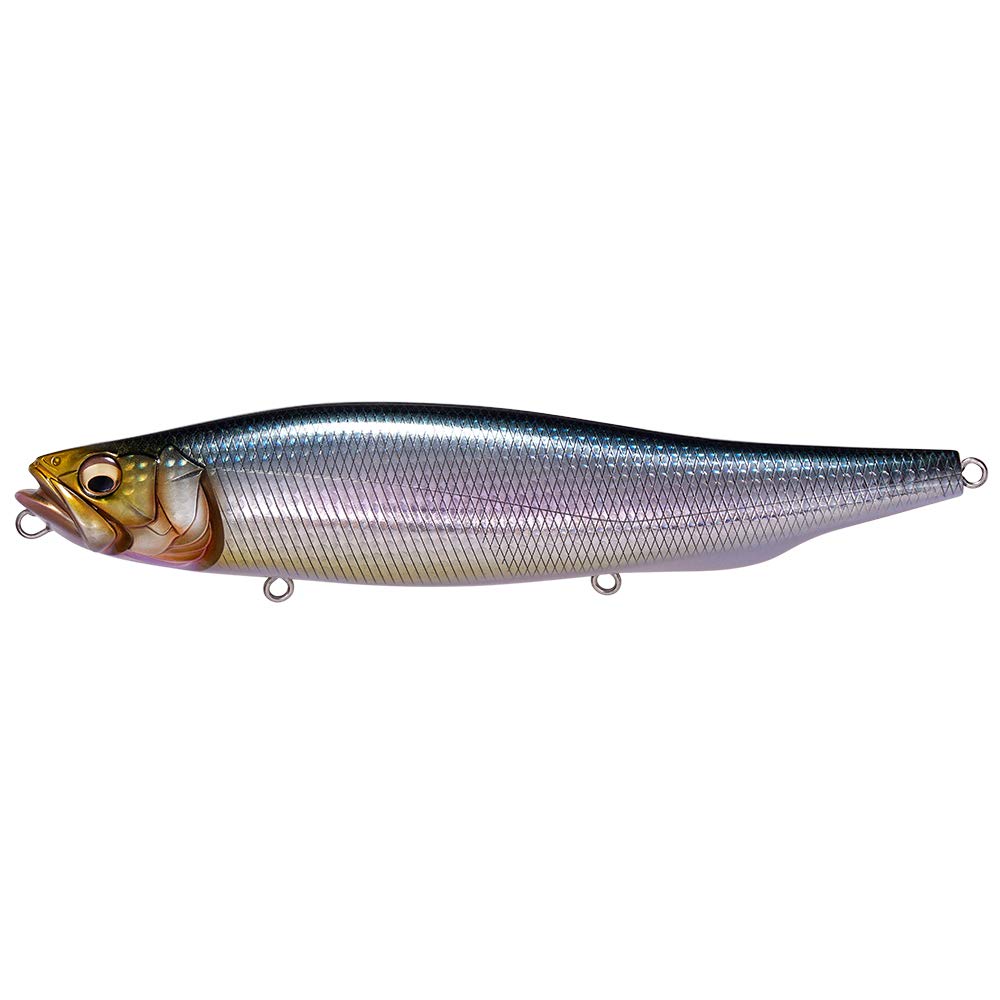 Megabass Megadog #Iwashi
