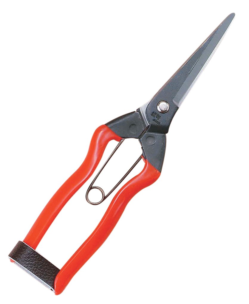 Koshiji J-12 Fruit and Vegetable Shears